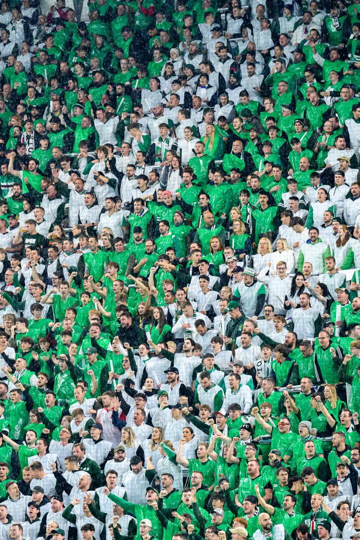 Die Rapid-Fans im Stadion.