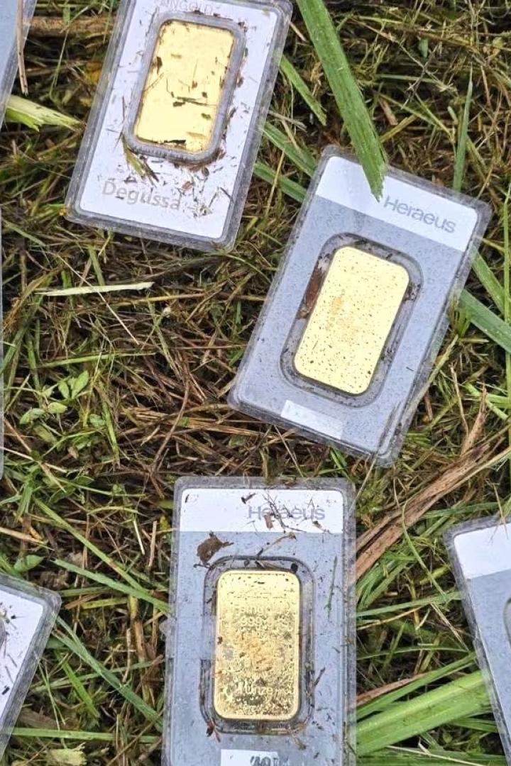 Goldbarren in Plastik eingeschweißt liegen auf einer Wiese