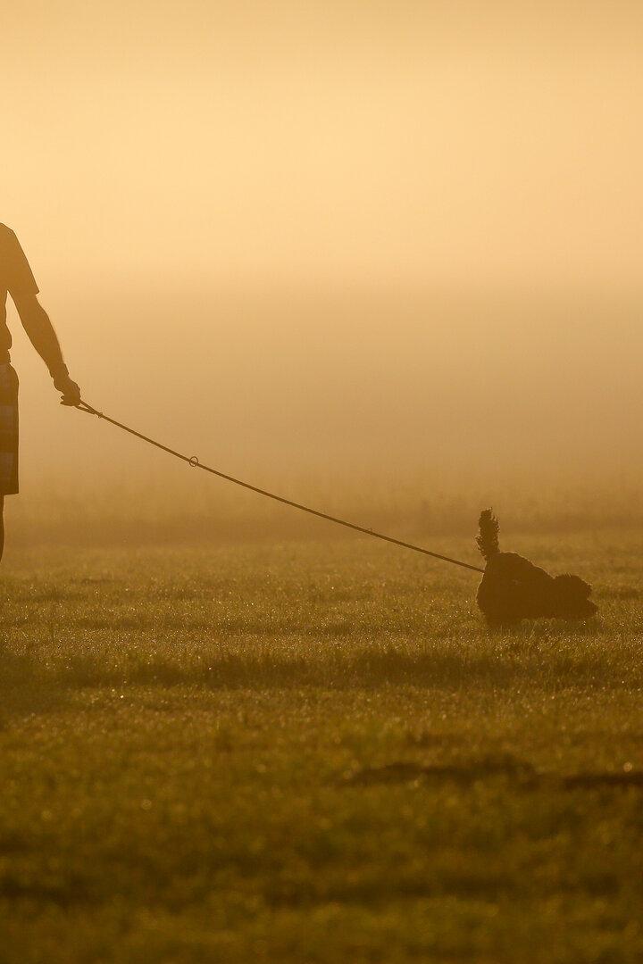 Wetter in Baden-Württemberg