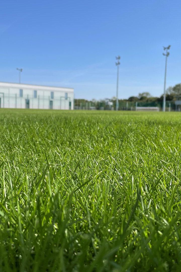 Spielfeld auf dem neuen ÖFB-Campus in Aspern