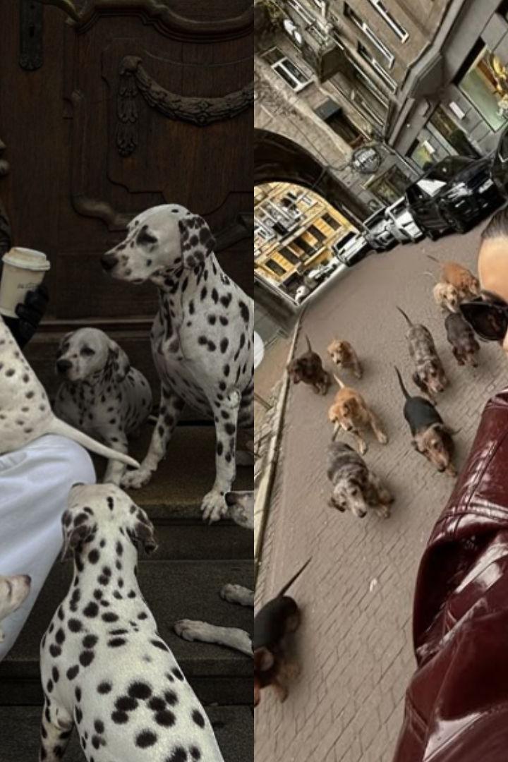 Influencerinnen mit KI-Hunden