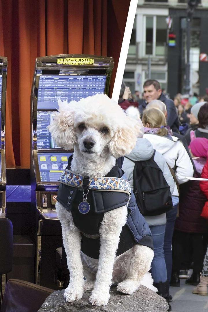 Ein Mann steht an Spielautomaten, ein Pudel sitzt davor, daneben verteilt ein Mann in rotem Mantel Flyer an eine Menschenmenge.