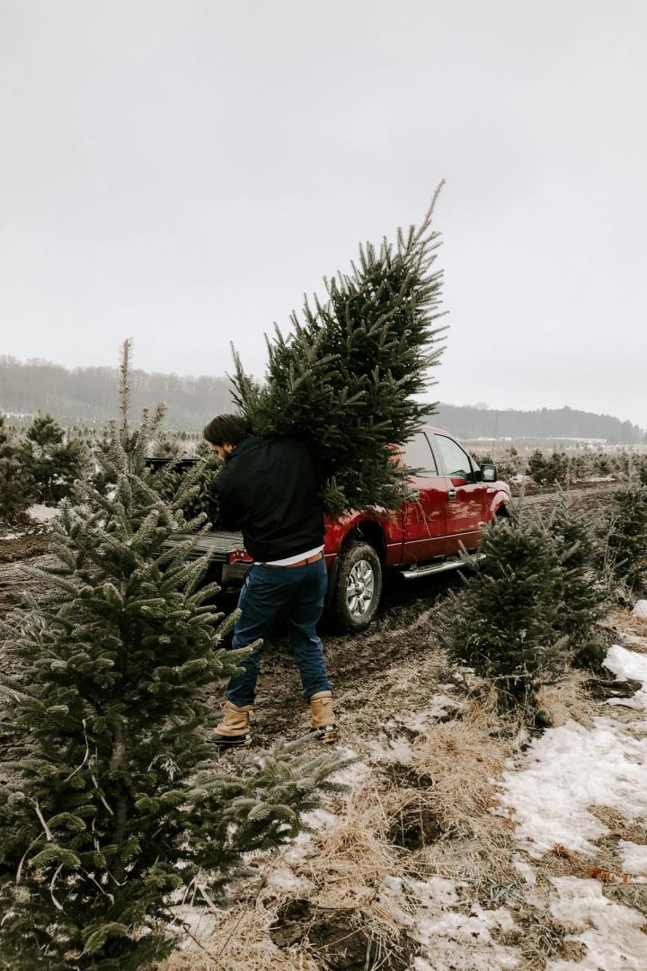 Mann transportiert Christbaum zu seinem Auto