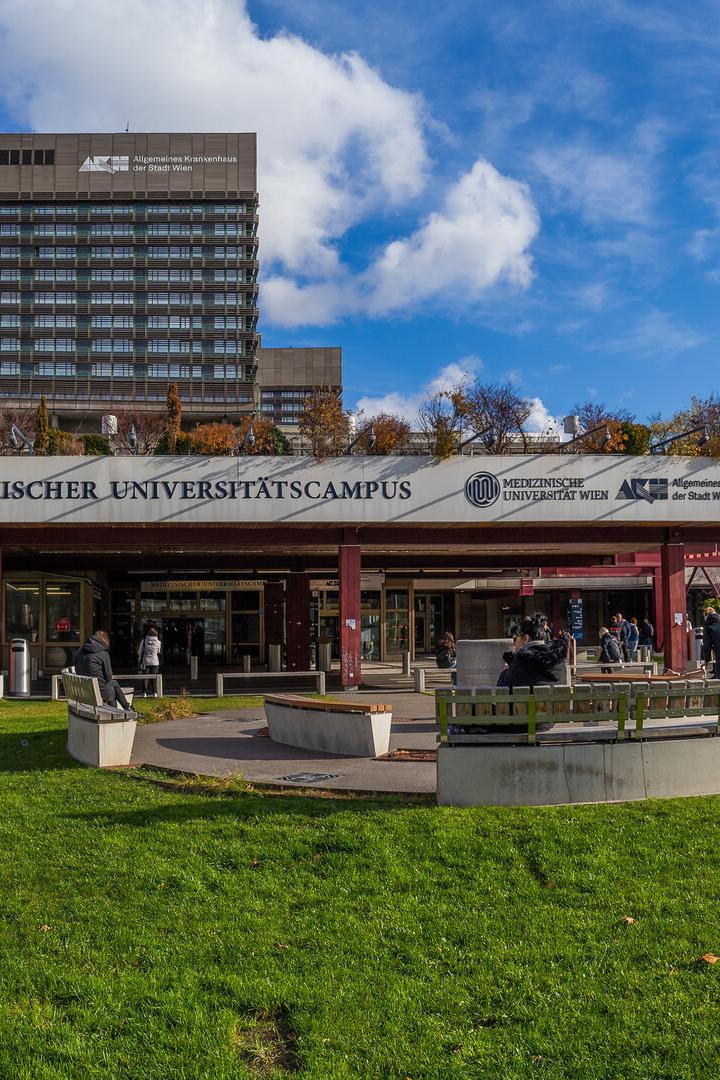 Das AKH Wien.