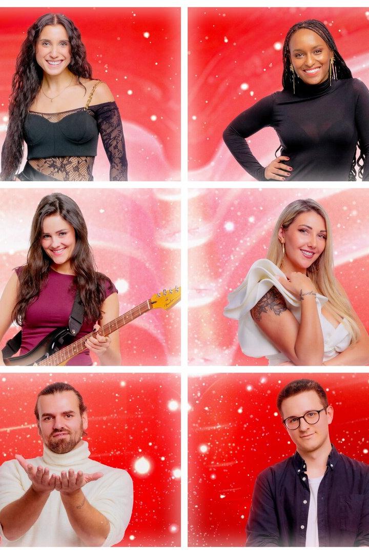 Vienna Calling  Wer singt für Österreich?: Das sind die Top 12