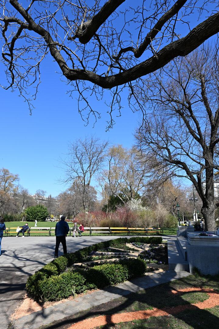 Der Stadtpark in Wien mit Bäumen, die jahreszeitbedingt wenig Grün tragen.