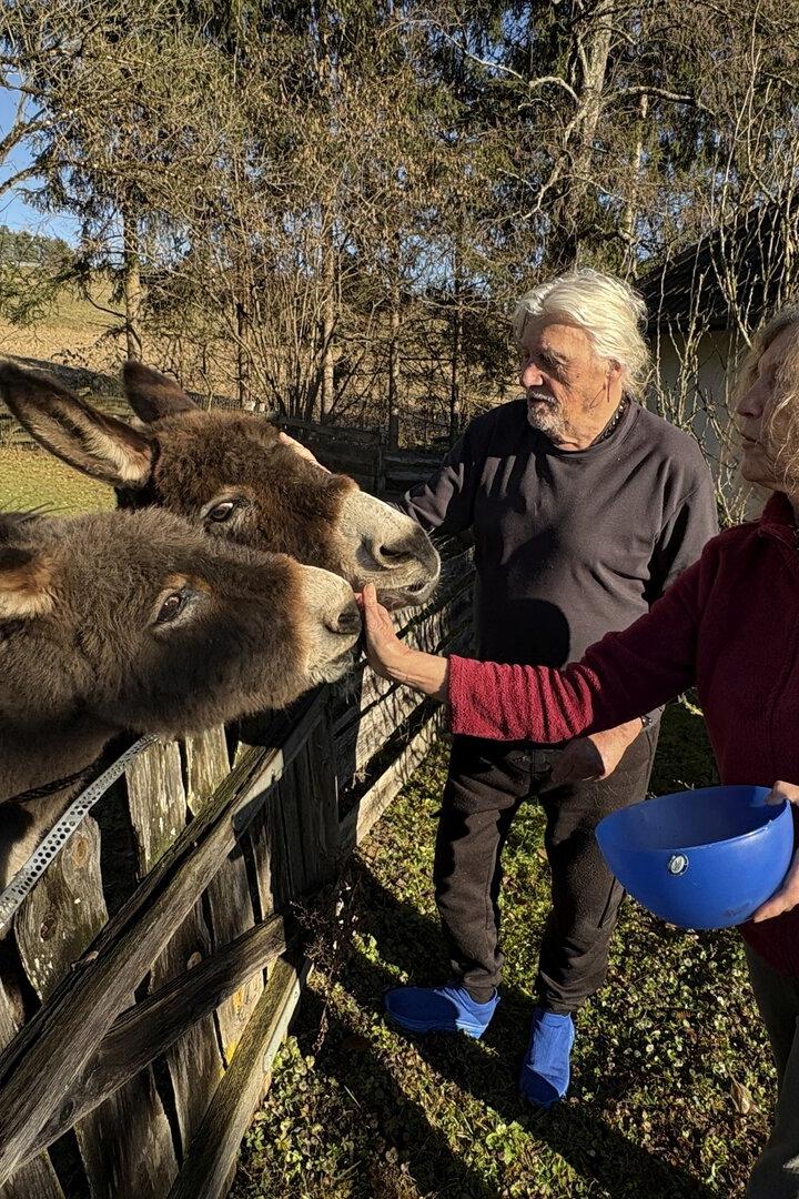 Zwei Esel werden von einer Frau gefüttert, während ein Mann daneben steht, im Hintergrund Wiese und Bäume.