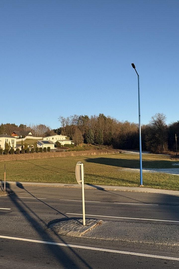 Mehrere Häuser stehen am Rand einer Wiese, im Vordergrund verläuft eine Straße mit Gehweg und Straßenlaternen.