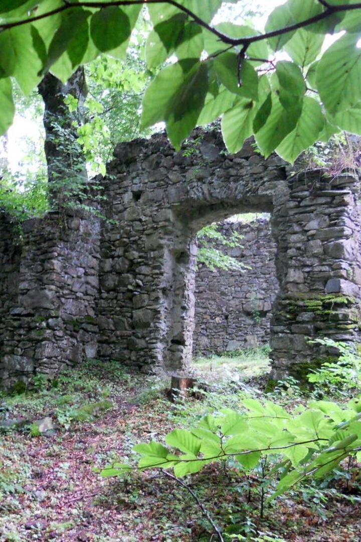 Alte, überwucherte Steinruine steht im dichten, grünen Wald, umgeben von Bäumen und Pflanzen.