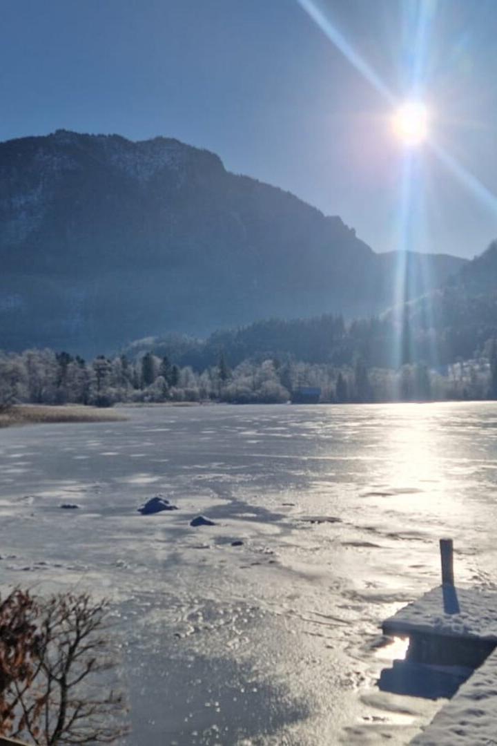 gefrorener Lunzer See