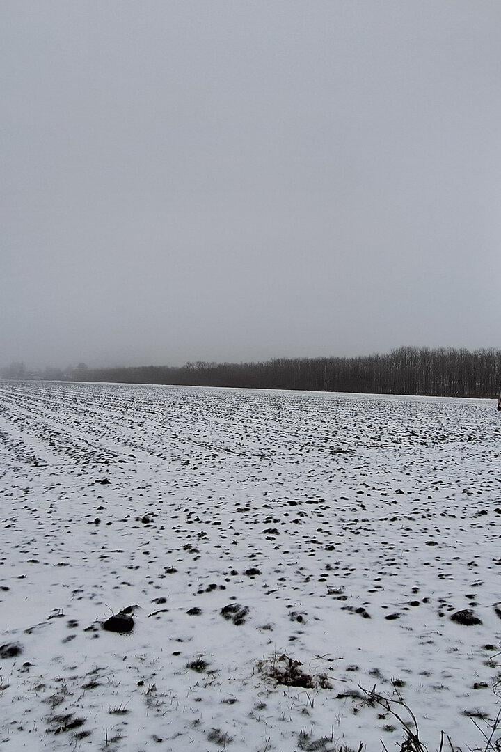 Unendliche Weiten der Donaustadt: Dieser Grünland-Acker wird sicher irgendwann zur Schlafstätte – doch wer profitiert davon? 