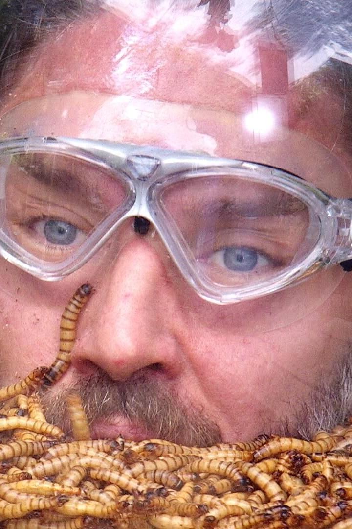 Ein Mann mit Schutzbrille trägt einen Helm, der mit vielen lebenden Würmern gefüllt ist.