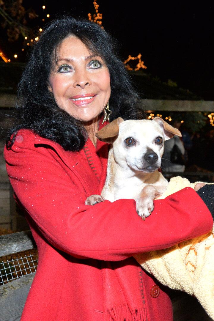 ADVENT AUF GUT AIDERBICHL: RAJTER