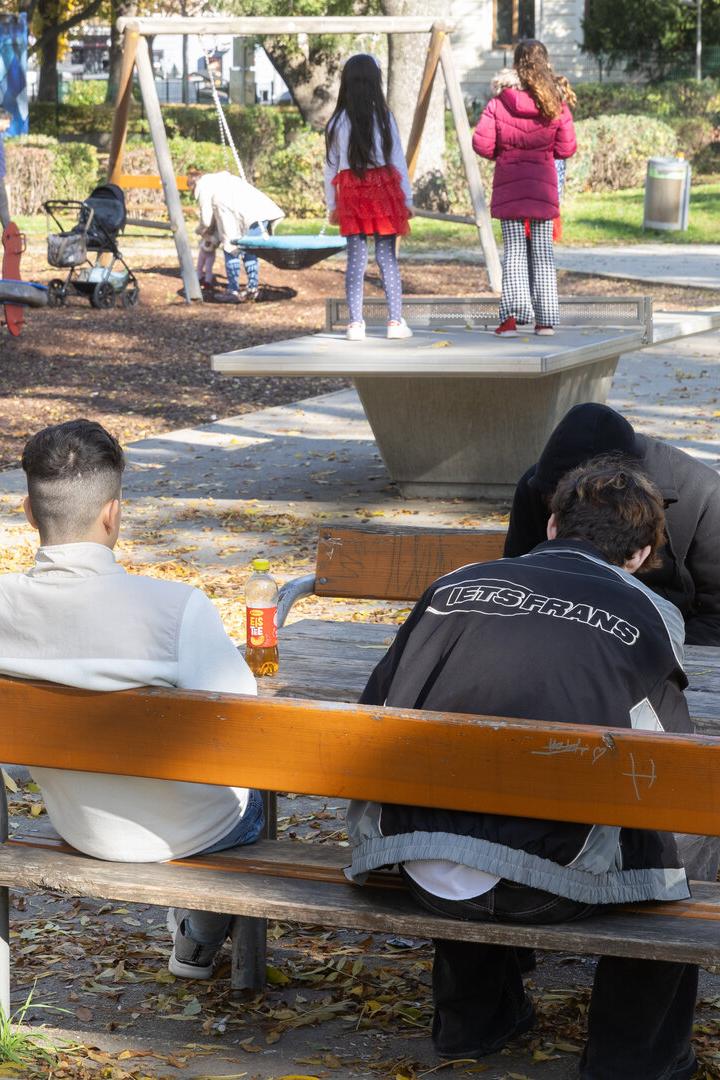 Drei Jugendliche sitzen auf einer Bank in einem Wiener Park.