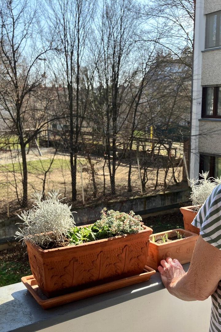 Gersthof, Turnverein, Turnhalle, Währing