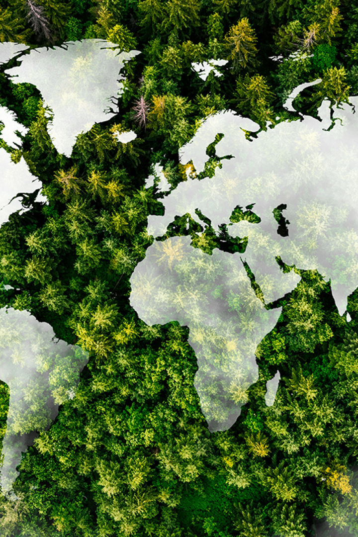 Bildmontage auf der man Wald und Wolken von oben sieht und grafisch eine Weltkarte darüber gelegt ist