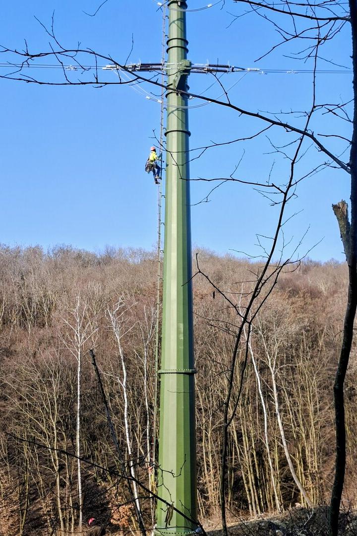 Neubau der 110 kV Leitung zwischen Steinbrunn und Au am Leithaberge