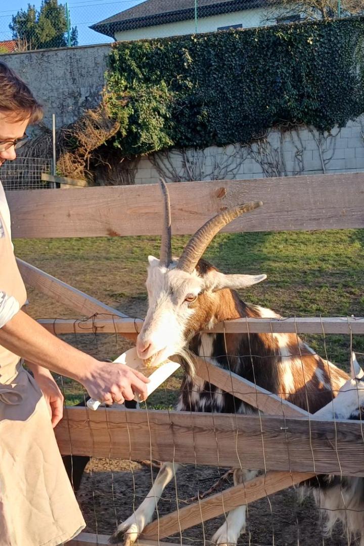 Gerhard Schiller füttert die Ziegen neben dem Gastgarten seines Wirtshauses.