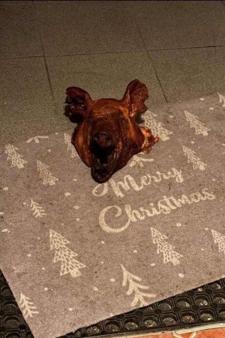 Schweinekopf auf einer Türmatte