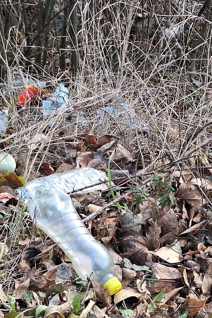 Zwischen trockenem Laub und Gras liegen mehrere Plastikflaschen und Müll verstreut am Boden.