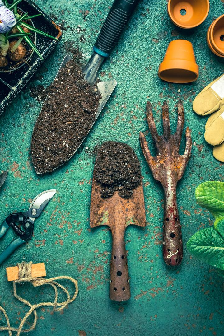 Spring gardening concept - gardening tools with plants, flowerpots and soil