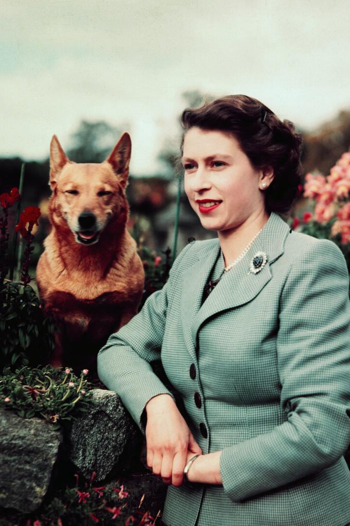 Queen Elizabeth in Garden with Dog