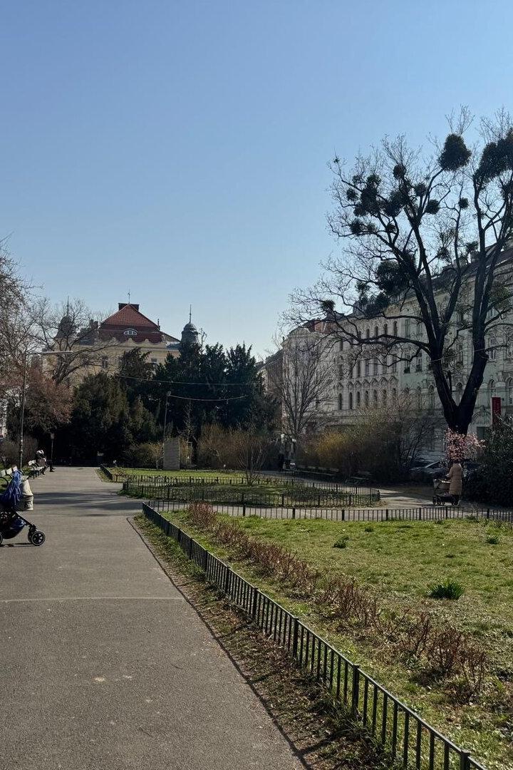 Aumannplatz mit Wiese und Menschen