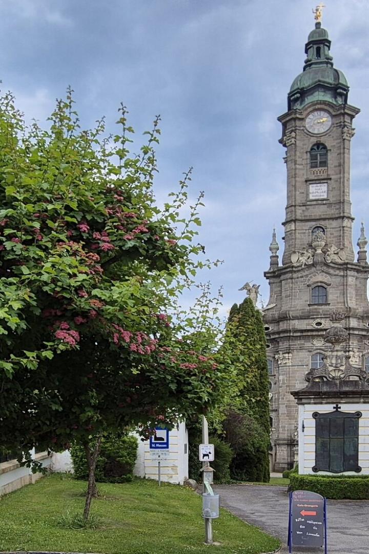 Ein Kirchturm mit Uhr steht neben einem gelben Gebäude und einem Baum mit rosa Blüten.
