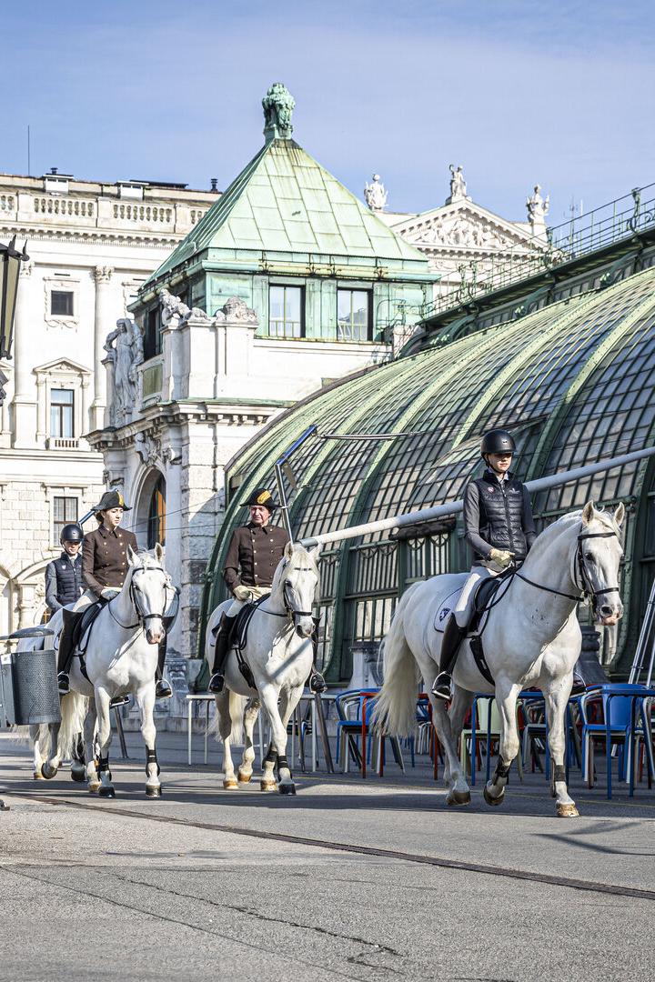 Spanische Hofreitschule