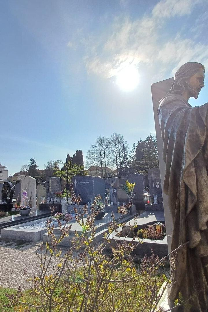 13 Grüfte geöffnet: Der Korneuburger Friedhof wurde zum Tatort.