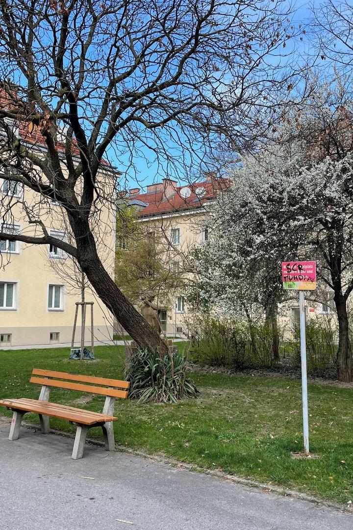 Ein klassischer Gemeindebau in Floridsdorf