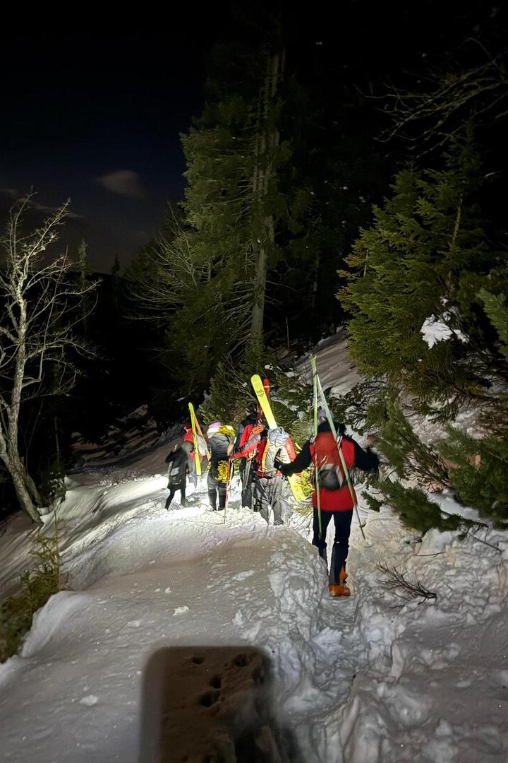 Mehrere Personen wandern nachts mit Skiern auf verschneitem Waldweg bergauf.