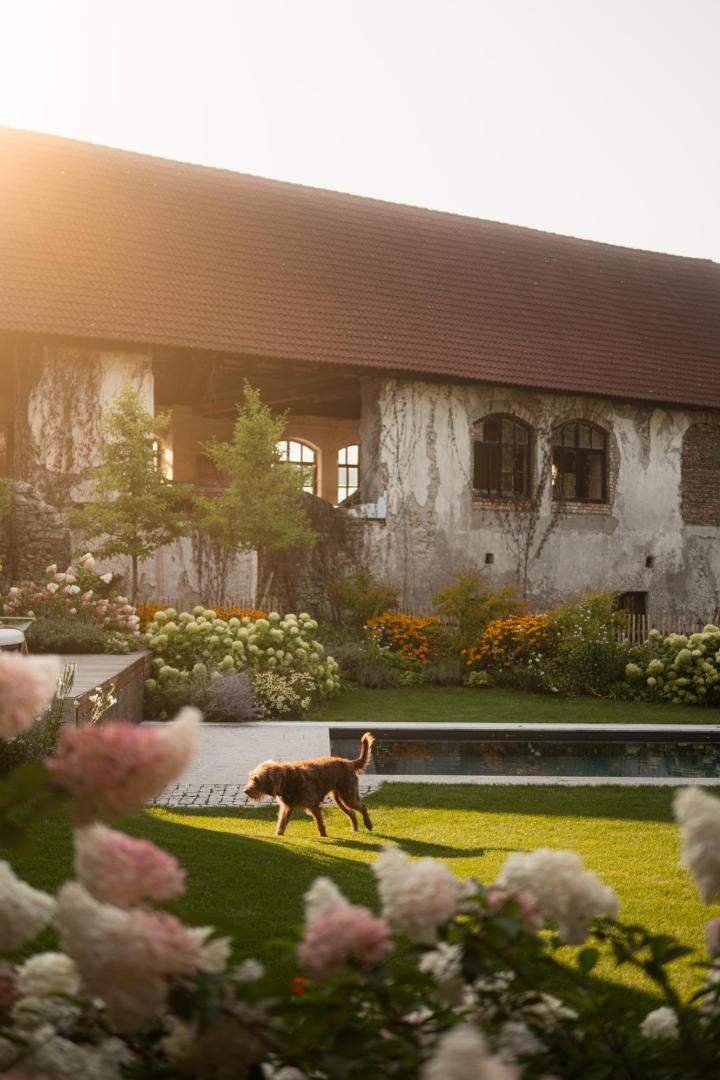 Haus mit blühendem Garten, sattgrünem Rasen und in der Mitte des Bildes rennt ein Hund über die Wiese