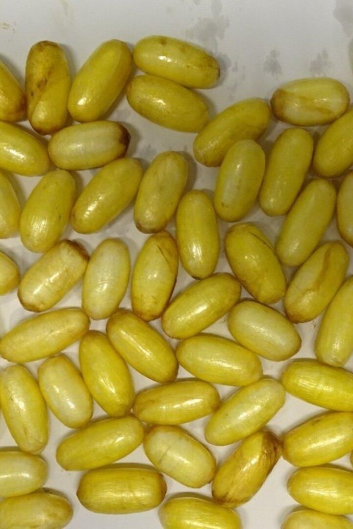 Viele gelbe, längliche Kapseln liegen auf einer hellen Oberfläche.