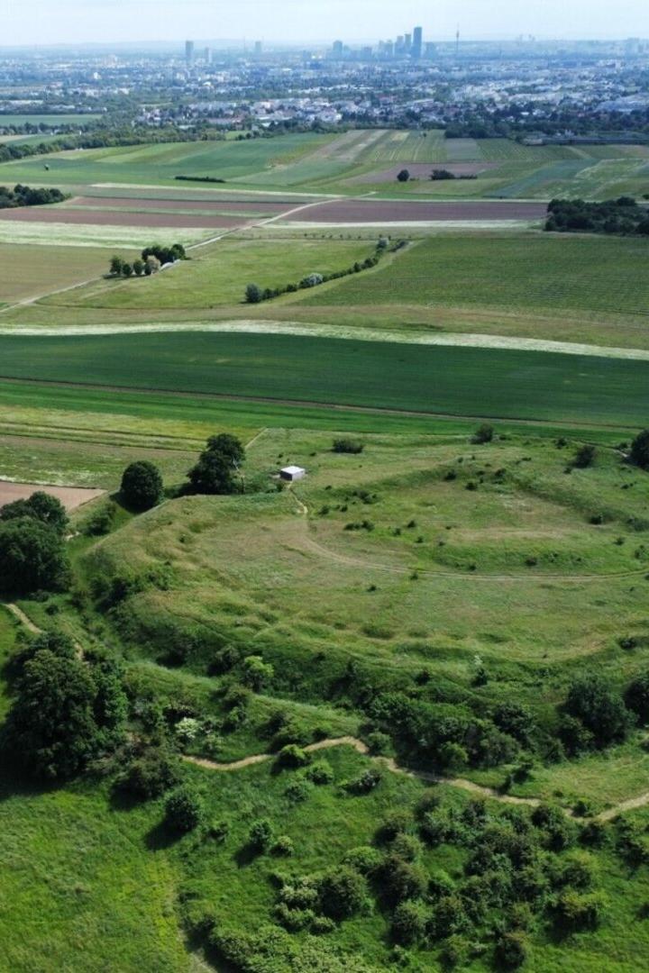 Direkt neben den Naturdenkmälern „Alte Schanzen“ sollen die vier Windräder gebaut werden (Blickrichtung Zentrum).