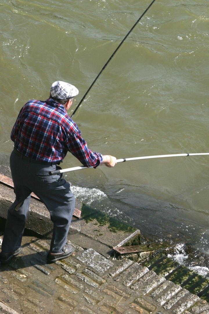 Symbolbild Fischer am Donaukanal.