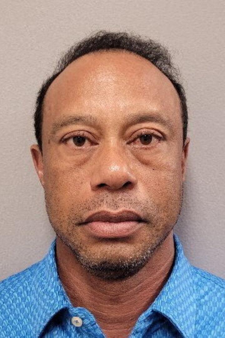 Golfstar Tiger Woods bei seiner Verhaftung