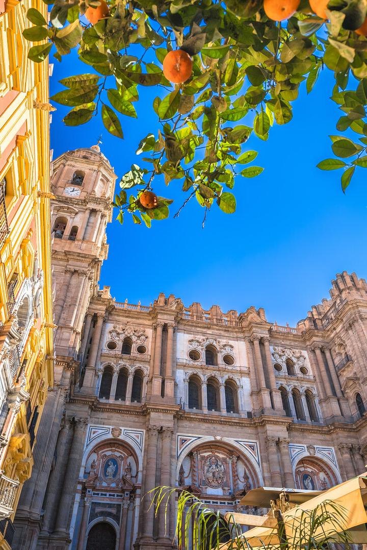 Malaga cathedral and square colofrul architecture street view