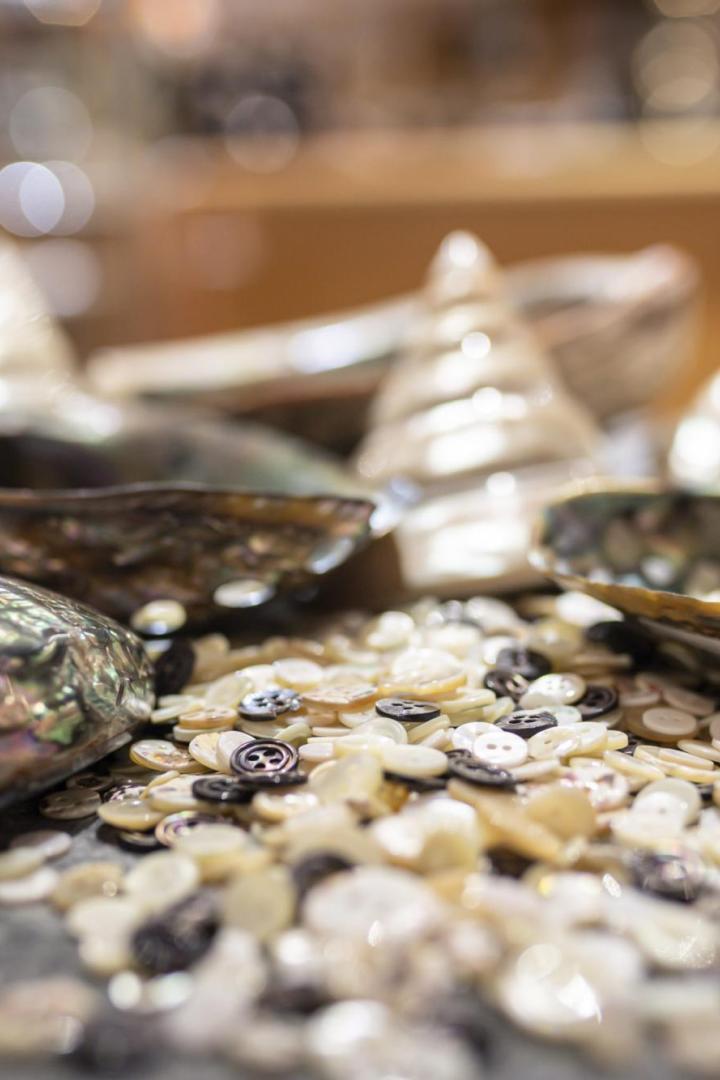 Perlmuttmuscheln und Knöpfe