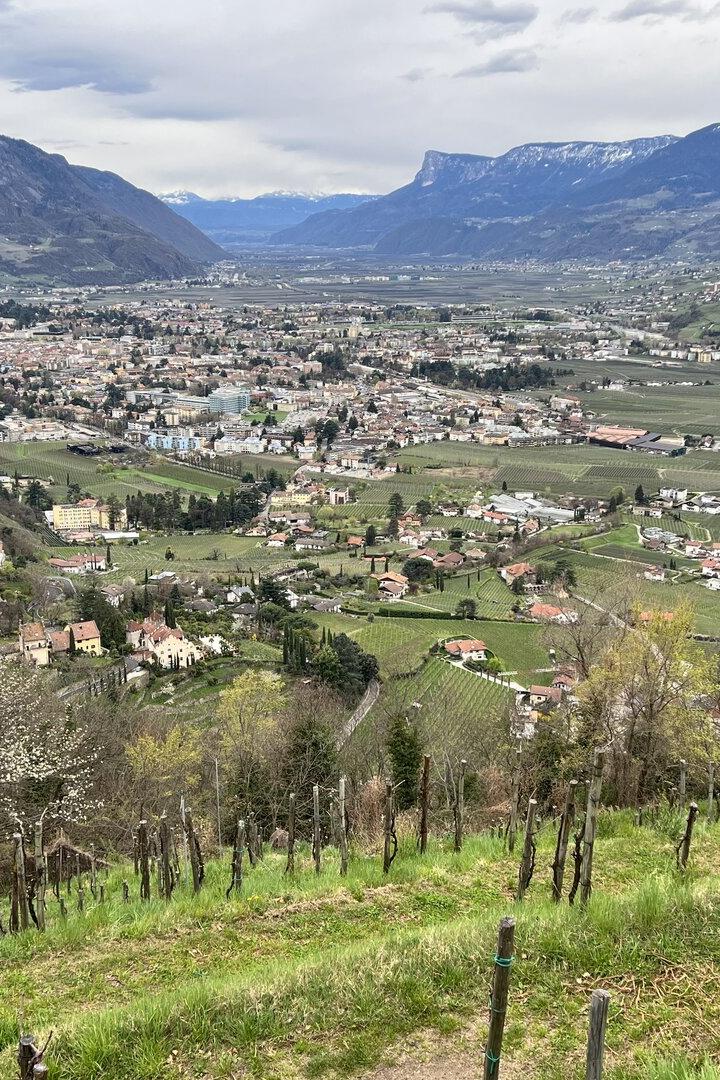 Blick auf Meran
