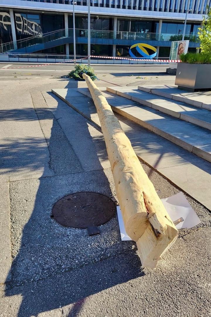 Umgeschnittener Maibaum