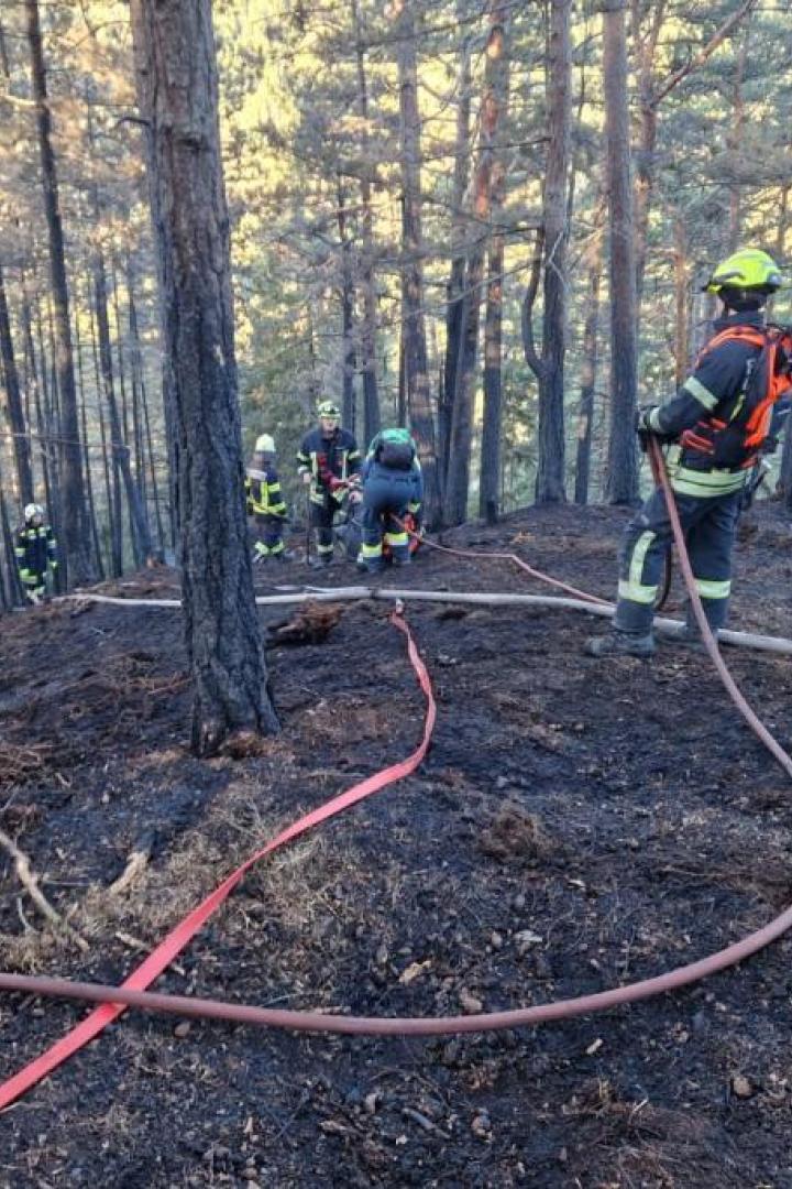 Waldbrand bei Gutenstein.