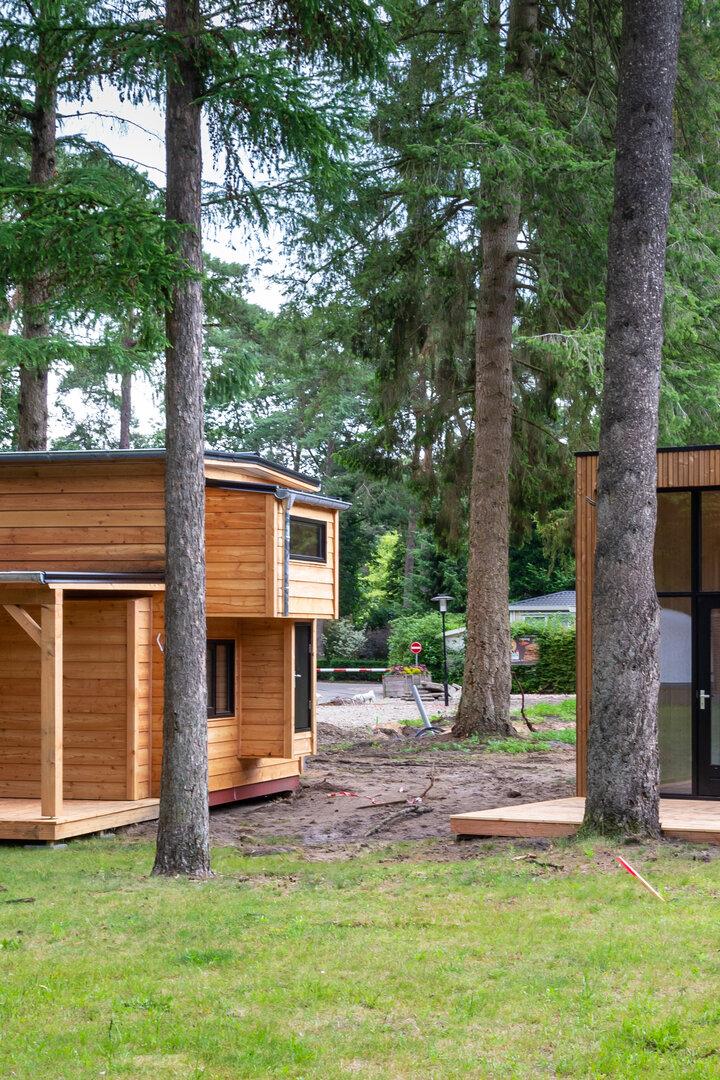 Tiny Houses auf einem bewaldeten Grundstück