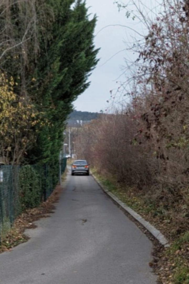 Ein schmaler Weg zwischen Sträuchern 