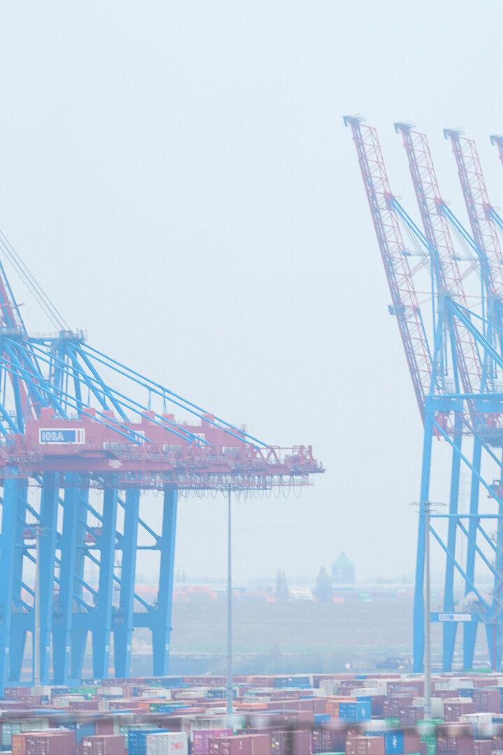 Kräne im Hamburger Hafen
