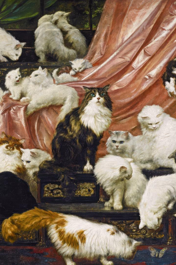 Viele Katzen mit verschiedenem Fell sitzen und liegen dicht beieinander vor einem drapierten, rosa Stoff.