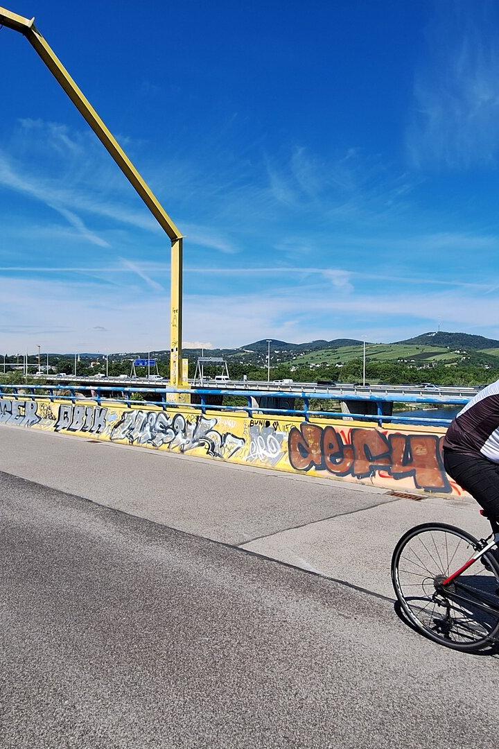Ein Radfahrer fährt bei sonnigem Wetter auf einer mit Graffiti verzierten Brücke über einen Fluss.