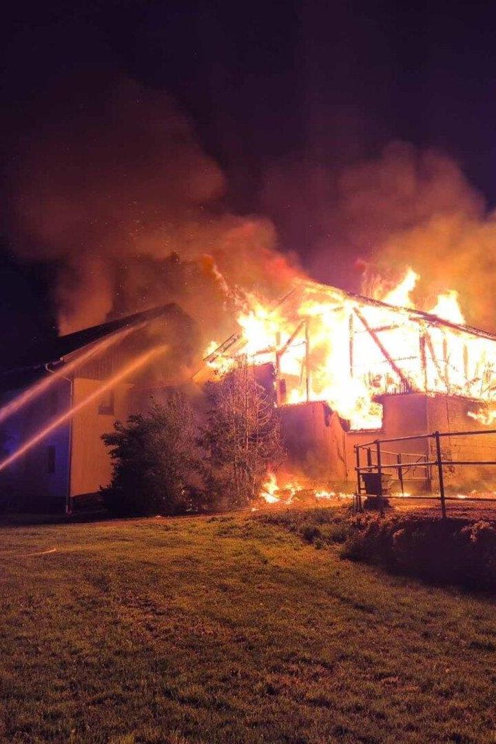 Großbrand auf Bauernhof in Kirchberg am Wechsel