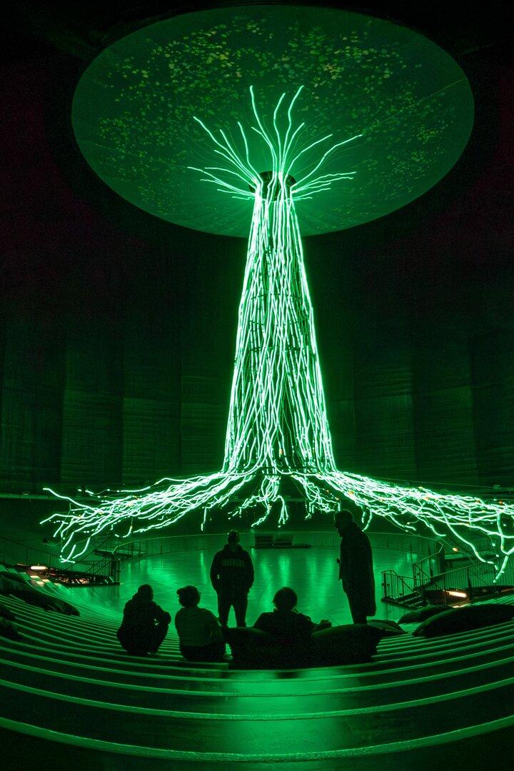 Im Raum mit Zuschauerrängen steht eine grüne Lichtinstallation, die an einen Baum erinnert.