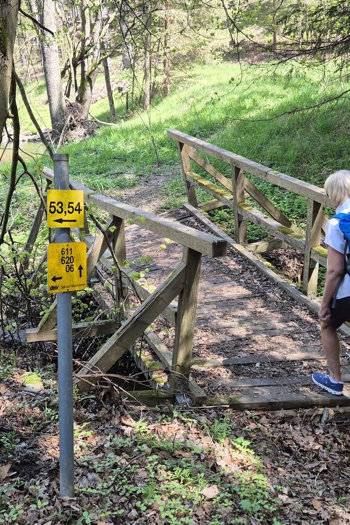 Eine Person mit blauem Rucksack überquert eine kleine Holzbrücke im Wald, neben einem Bach und Wanderwegweisern.